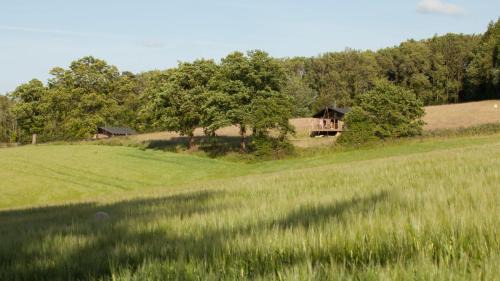 West Meon Other | Brocklands Farm Glamping