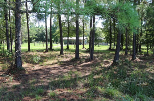 Deweyville House | Broken Wire Ranch.No worries! Peaceful, private and safe country experience!