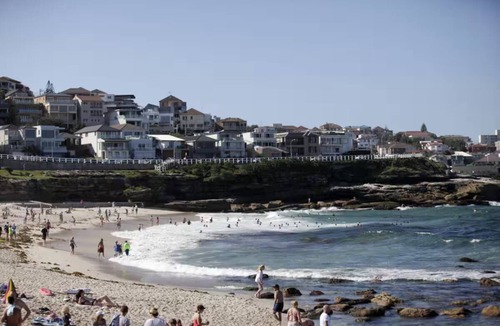 Bronte Apartment | Bronte beach studio in Sydney's Best Suburb Apt 2