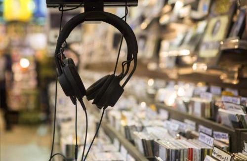 Williamsburg Apartment | Brooklyn Bliss