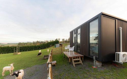 Surat Bay House | Bruce Farm Alpaca Cabin 4 by Tiny Away