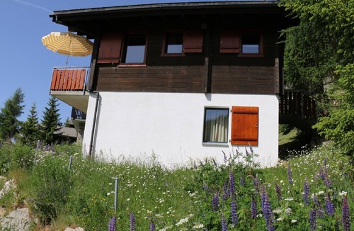 Bettmeralp Apartment | Brunnquell by Interhome