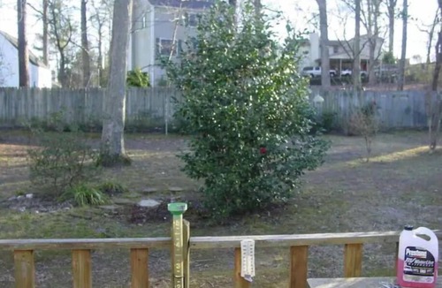 Bryant House | Bryant Home - Very Roomy, 3 Bedroom, 2 Bath Home