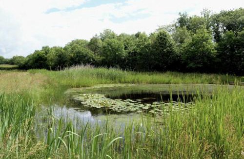 Pentrefelin House | Bryn y Cadno