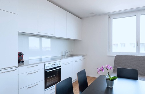 Basel City Centre Apartment | BS Deer IV - Messe HITrental Apartment