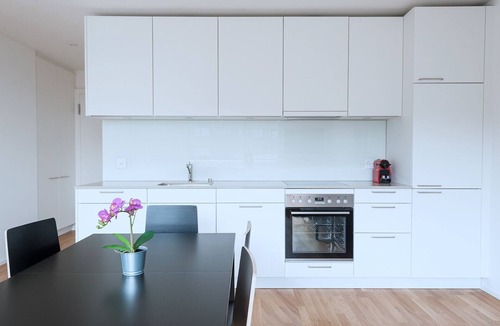 Basel City Centre Apartment | BS Wolf III - Messe HITrental Apartment