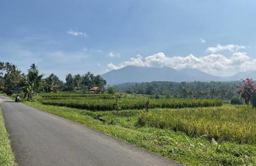 Penebel House | Buana Asti Homestay