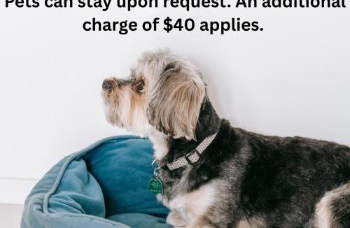 Buchan Hotel | Buchan Motel