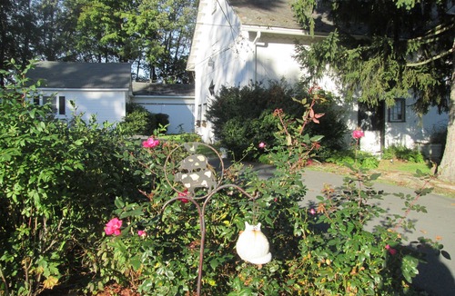 Montgomery Bed & Breakfast | Buck's Homestead B&B