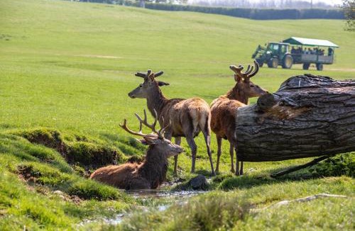 Woolhamton Other | Bucklebury Farm