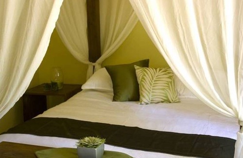 Hepburn House | Buddha Rose ........