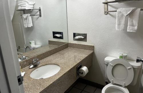 Laramie Hotel | Budget Inn Laramie