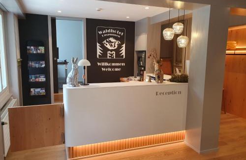 Matten bei Interlaken Hostel | Budget Waldhotel Unspunnen