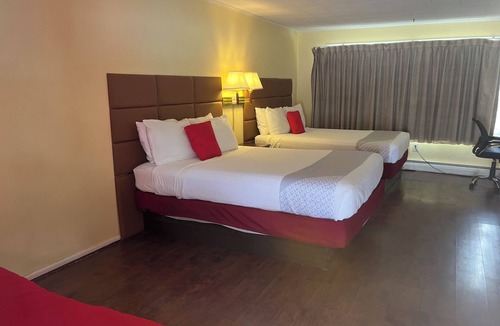 Delhi Hotel | BUENA VISTA INN