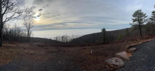 Winchester Other | Buena Vista