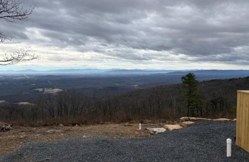 Winchester Other | Buena Vista