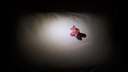 Sekotong Barat Hostel | Bujang Lapuk Hostel