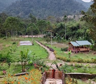 Bohorok House | Bukit Lawang - Batu Kapal Rimba House