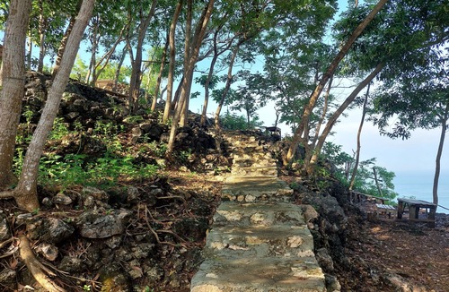 Gunung Kidul Bed & Breakfast | Bukit Shoka Top View Camp