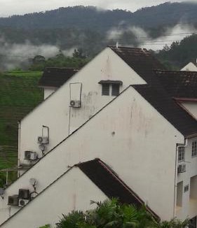 Bukit Tinggi Apartment | Bukit Tinggi Fuchsia Hillhomes