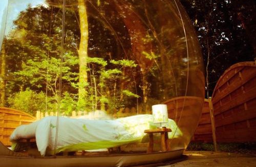 Dournazac Other | Bulle d'R