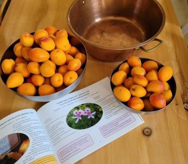Saint-Benoit-la-Foret House | Bulle de campagne à Saint Benoit la Forêt