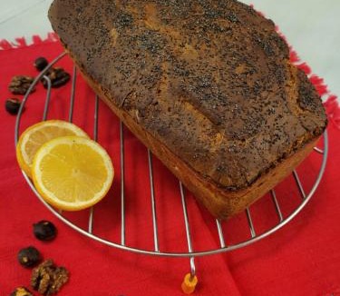 Saint-Benoit-la-Foret House | Bulle de campagne à Saint Benoit la Forêt