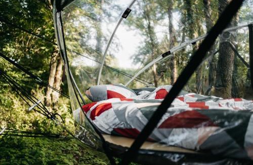 Ballay Other | Bulle des 5 mésanges