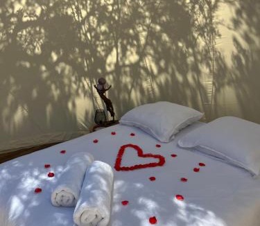 Galeria Other | Bulle du Fangu