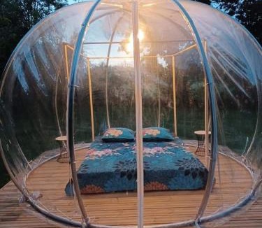 La Sauniere Other | Bulle sous les étoiles