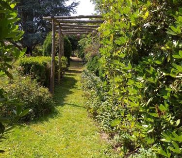 La Sauniere Other | Bulle sous les étoiles