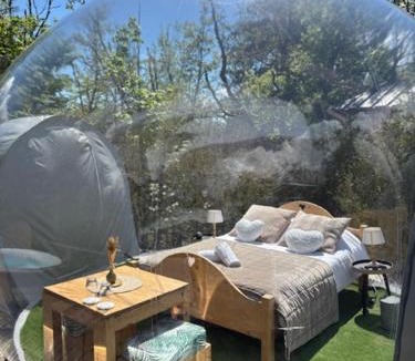 Champfromier Other | Bulle transparente