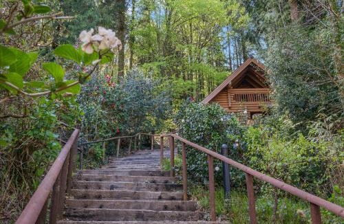 Westleigh Resort | Bulworthy Forest Lodges