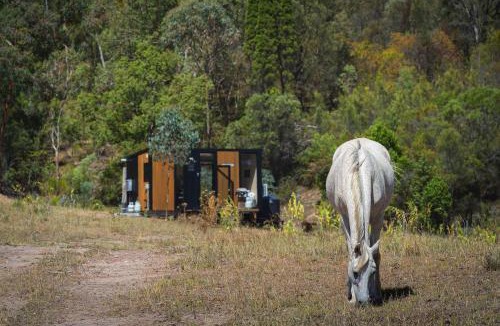 Martindale House | Bundaleer Tiny House 2 by Tiny Away