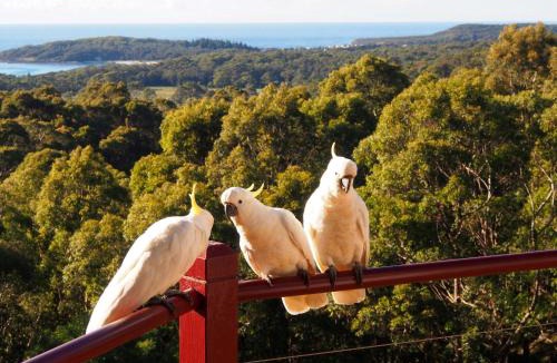 Bawley Point Cabin | Bundle Hill Cottages