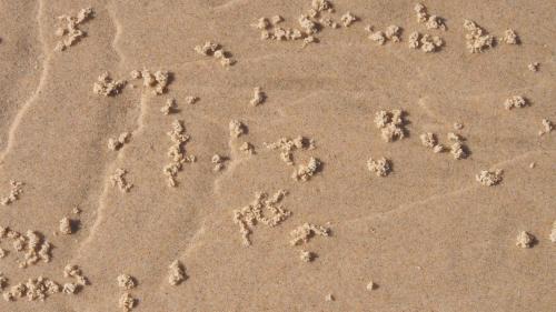 Bawley Point Cabin | Bundle Hill Cottages