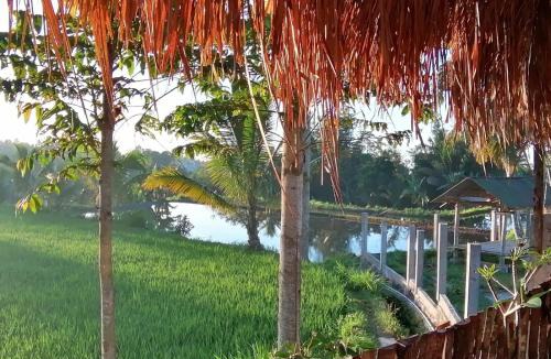 Tetebatu House | Bunga Maliq Bungalow Lombok