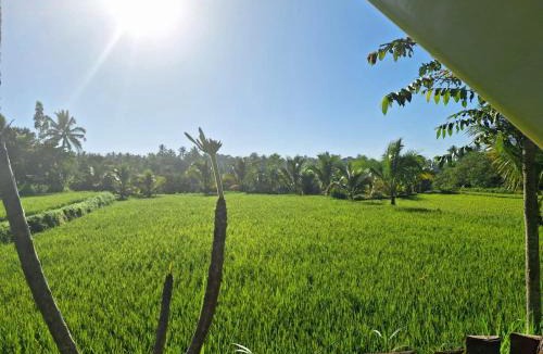 Tetebatu House | Bunga Maliq Bungalow Lombok