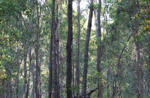 Bullyard House | Bungadoo Country Cottage