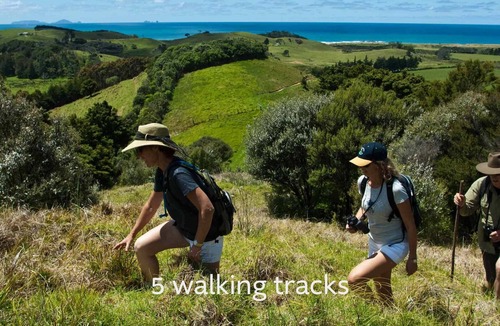 Pataua North Cottage | Bungalow in Paradise - Tahi