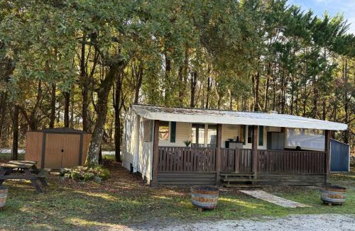 Hourtin Resort | Bungalow tout confort