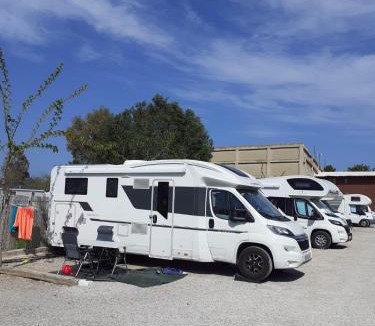 El Saler Other | Bungalows Park Albufera