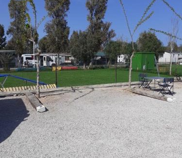 El Saler Other | Bungalows Park Albufera