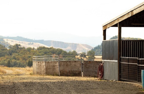 Roseburg Apartment | Bunkhouse Bear Room -Private Studio Retreat