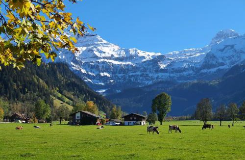 Lenk Bed & Breakfast | Burgbühler Guesthouse