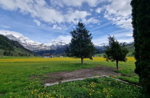 Lenk Bed & Breakfast | Burgbühler Guesthouse