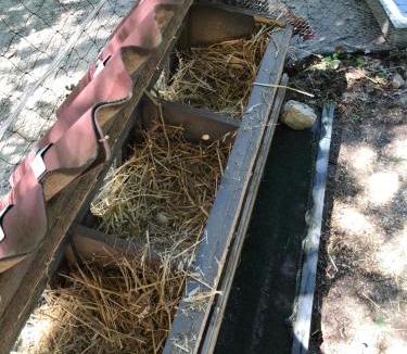 Villepinte House | Bus atypique au bord du canal du midi et au cœur d'une forêt 2 chambres