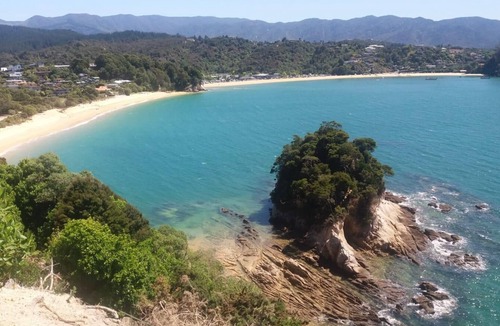 Ngaio Bay Apartment | Bush and Seaview Studio