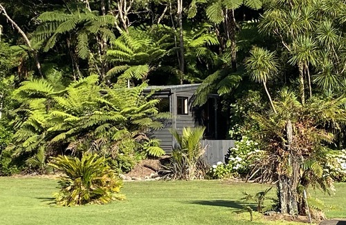 Whangamata Cabin | Bush Edge Studio