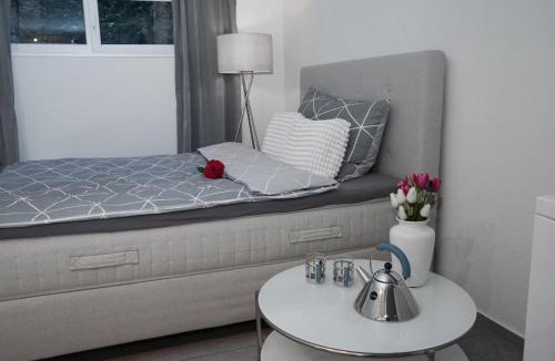 Feldbrunnen-Sankt Niklaus Apartment | Businessappartment Feldbrunnen